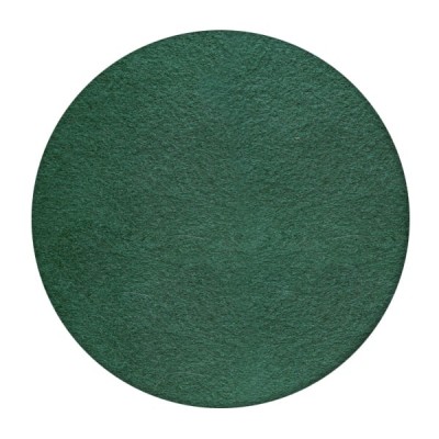 Plstený disk zelený 483mm